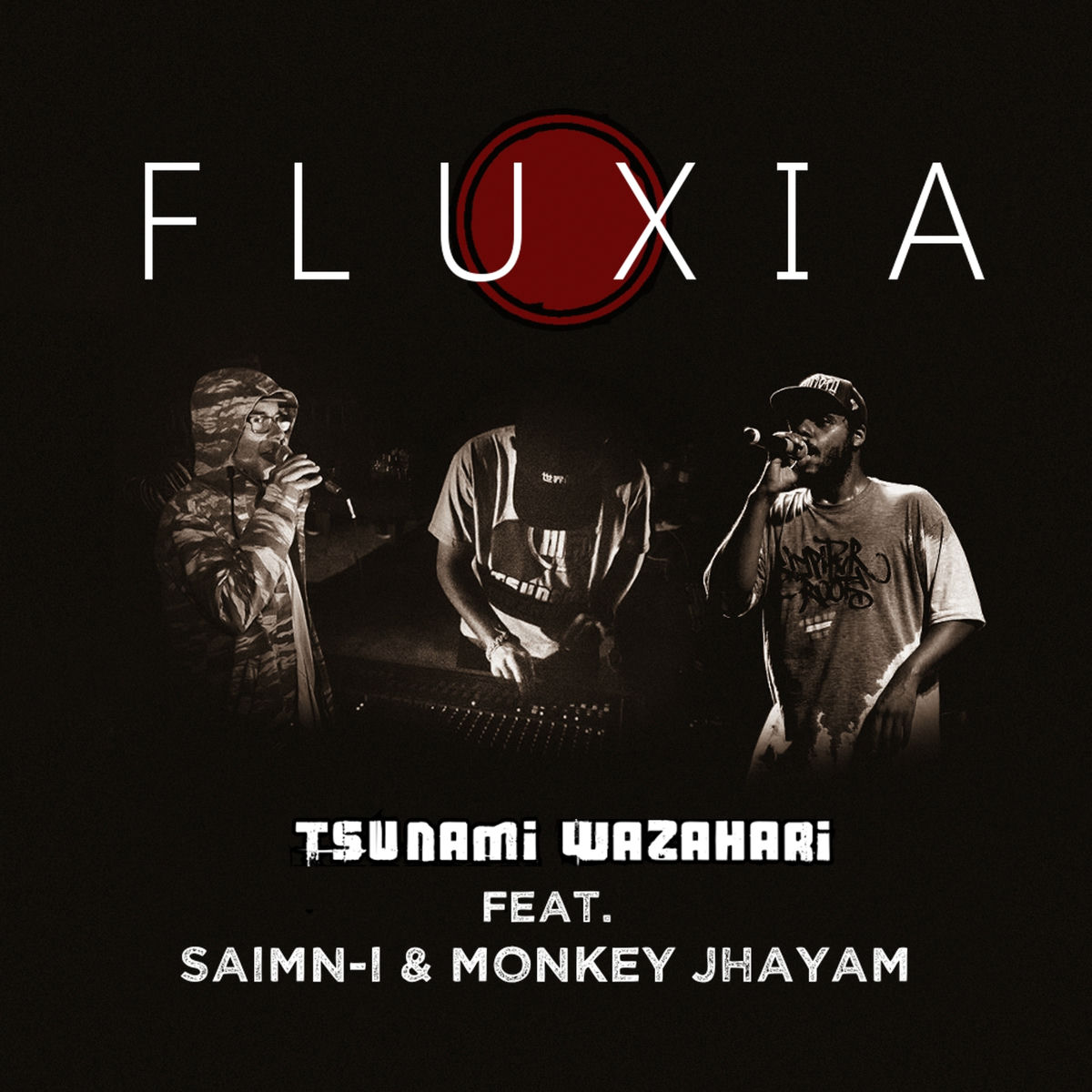 Album cover of Fluxia