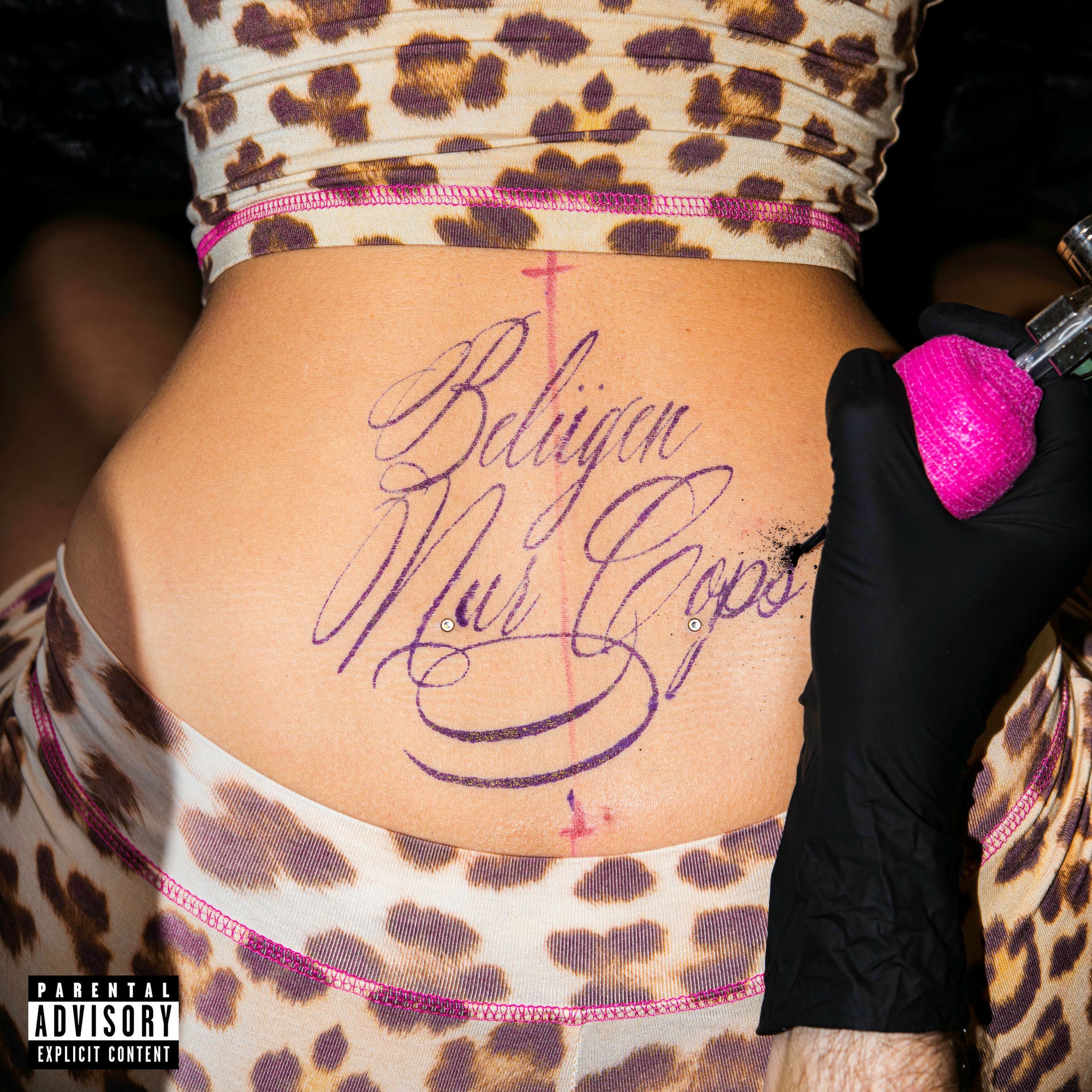 Album cover of Belügen nur Cops
