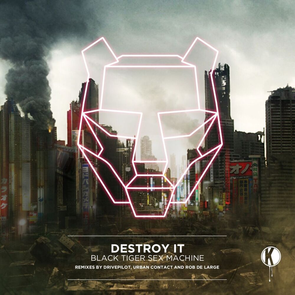 Picture of Destroy It