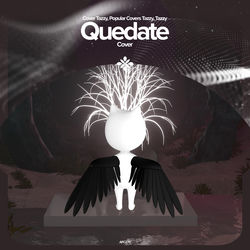 Pochette album