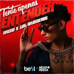 Cover of Tente Apenas Entender