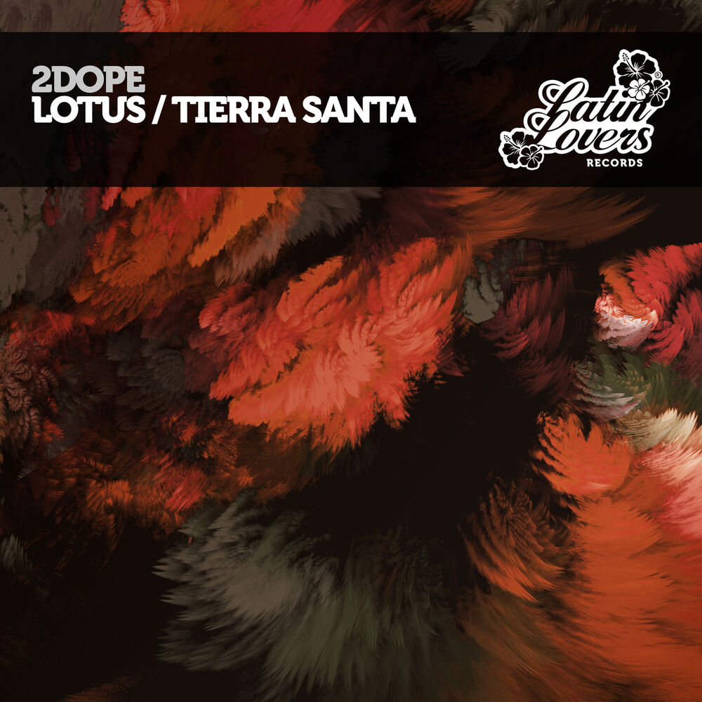Picture of Lotus / Tierra Santa