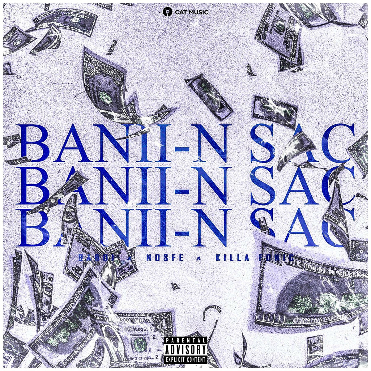 Album cover of Banii-n sac