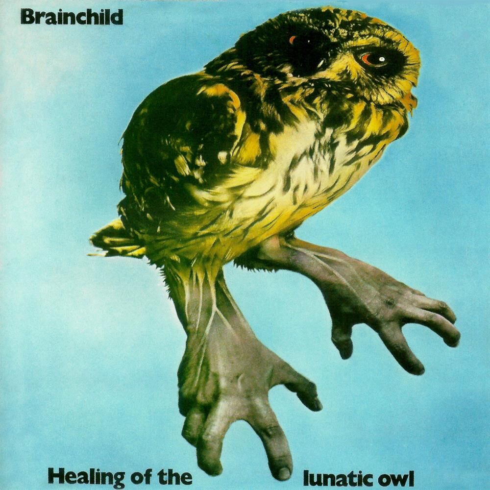 Picture of Healing of the Lunatic Owl