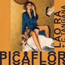 Cover of Picaflor