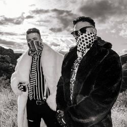 Cover of Higher