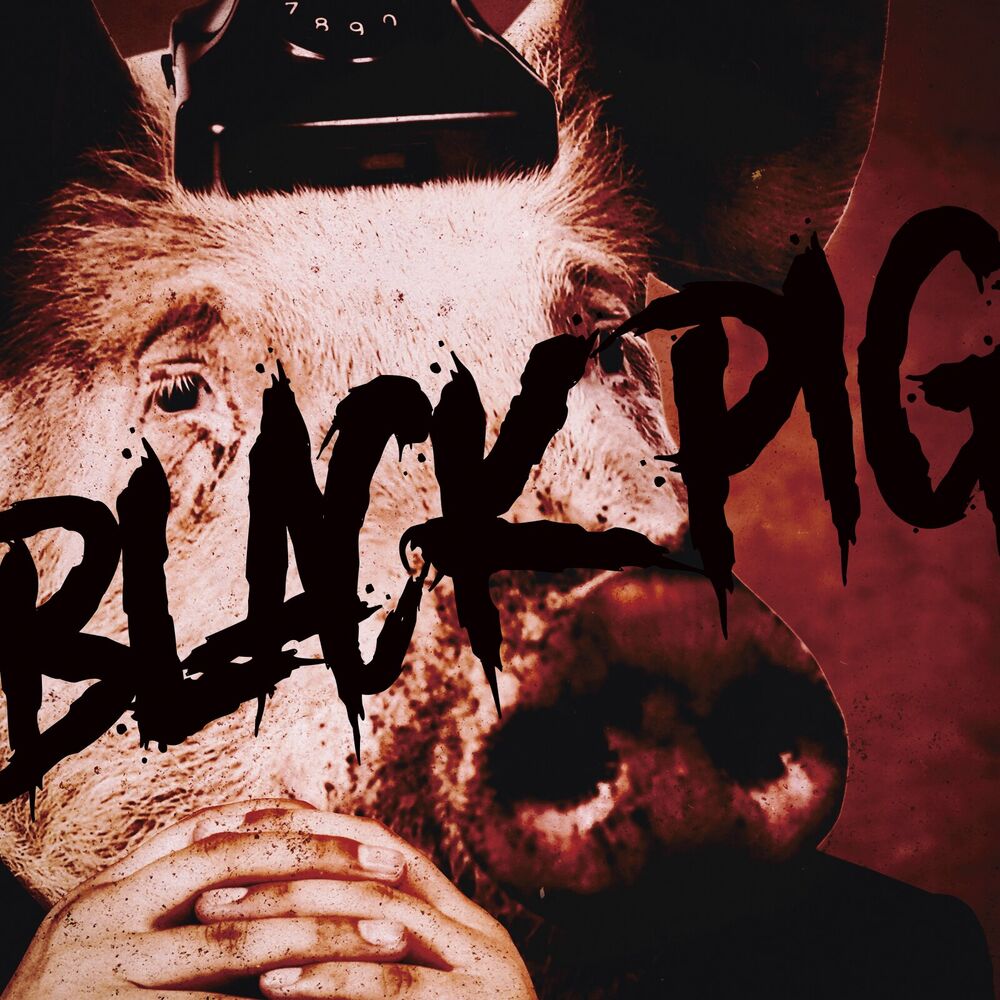 Picture of BLACK PIG