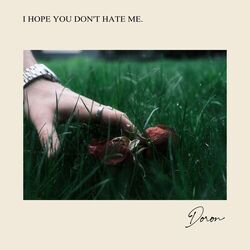 Cover of I HOPE YOU DON'T HATE ME.
