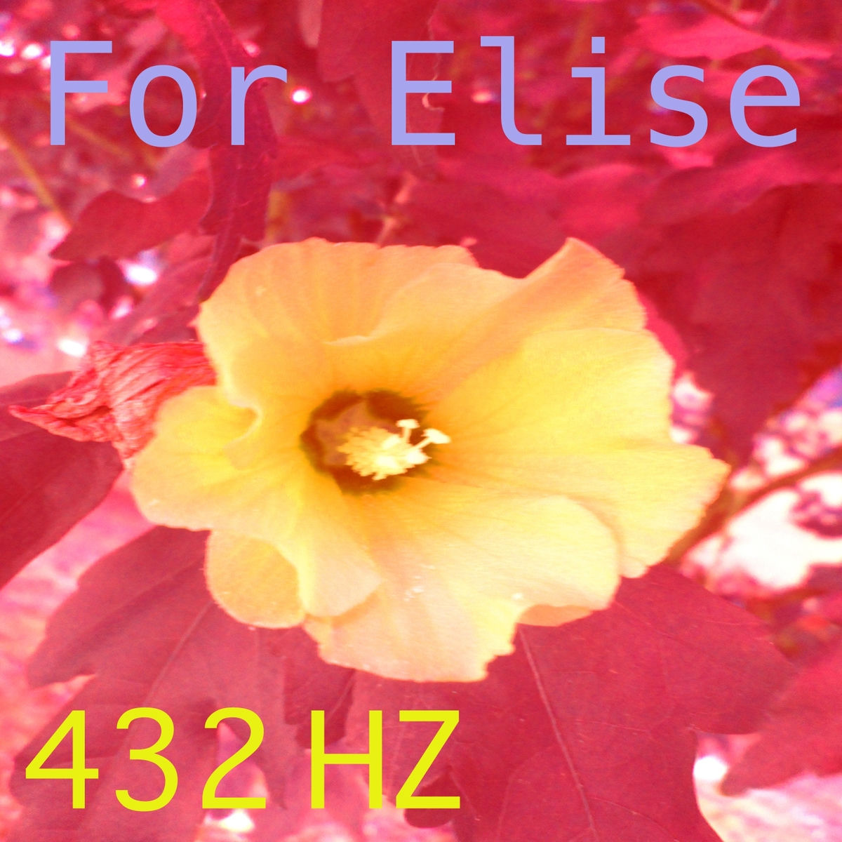 Album cover of For Elise, WoO 59