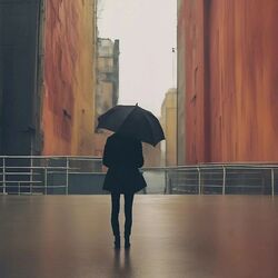 Cover of Path