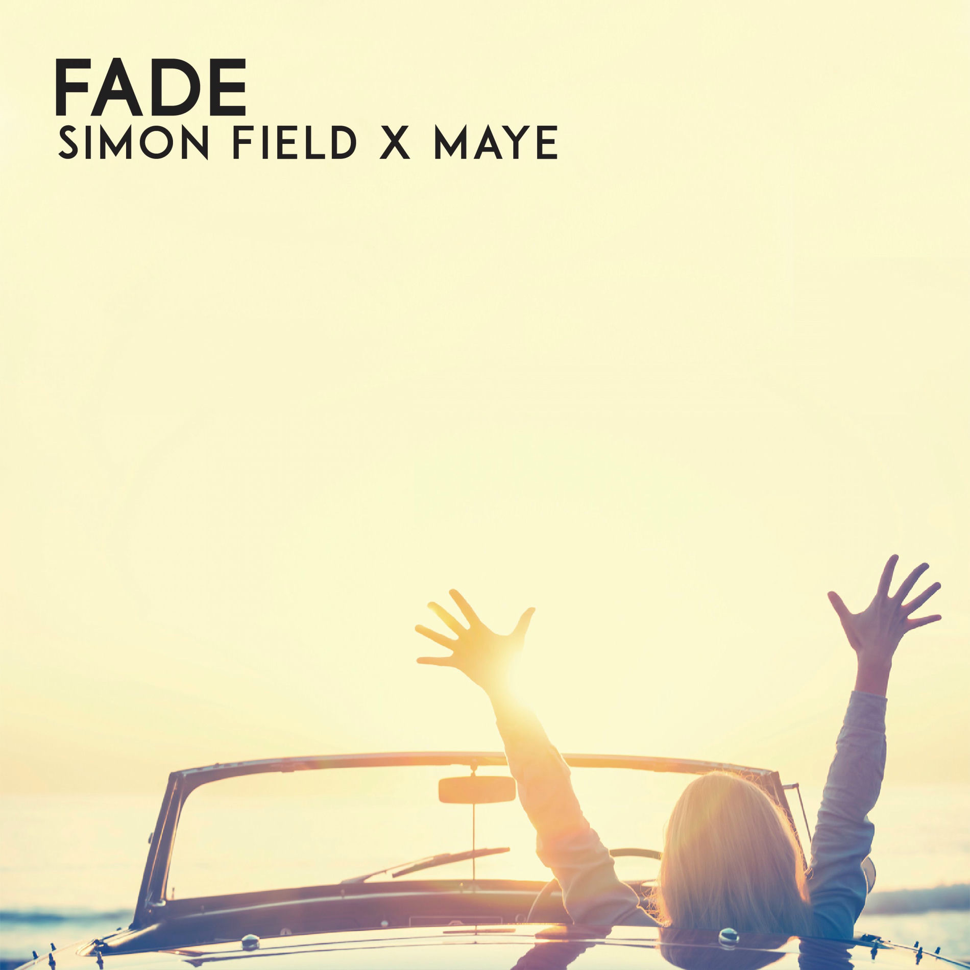 Album cover of Fade