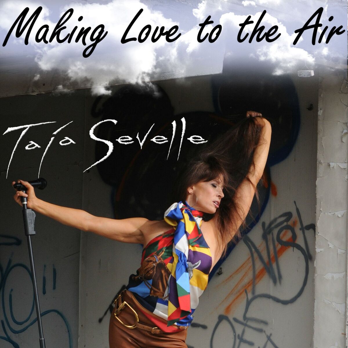 Album cover of Making Love to the Air