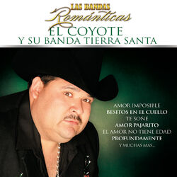 Cover of Las Bandas Románticas