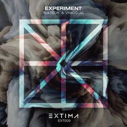 Cover of Experiment