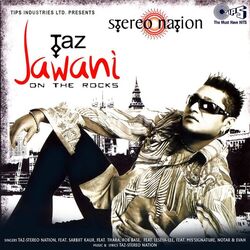 Cover of Jawani On The Rocks