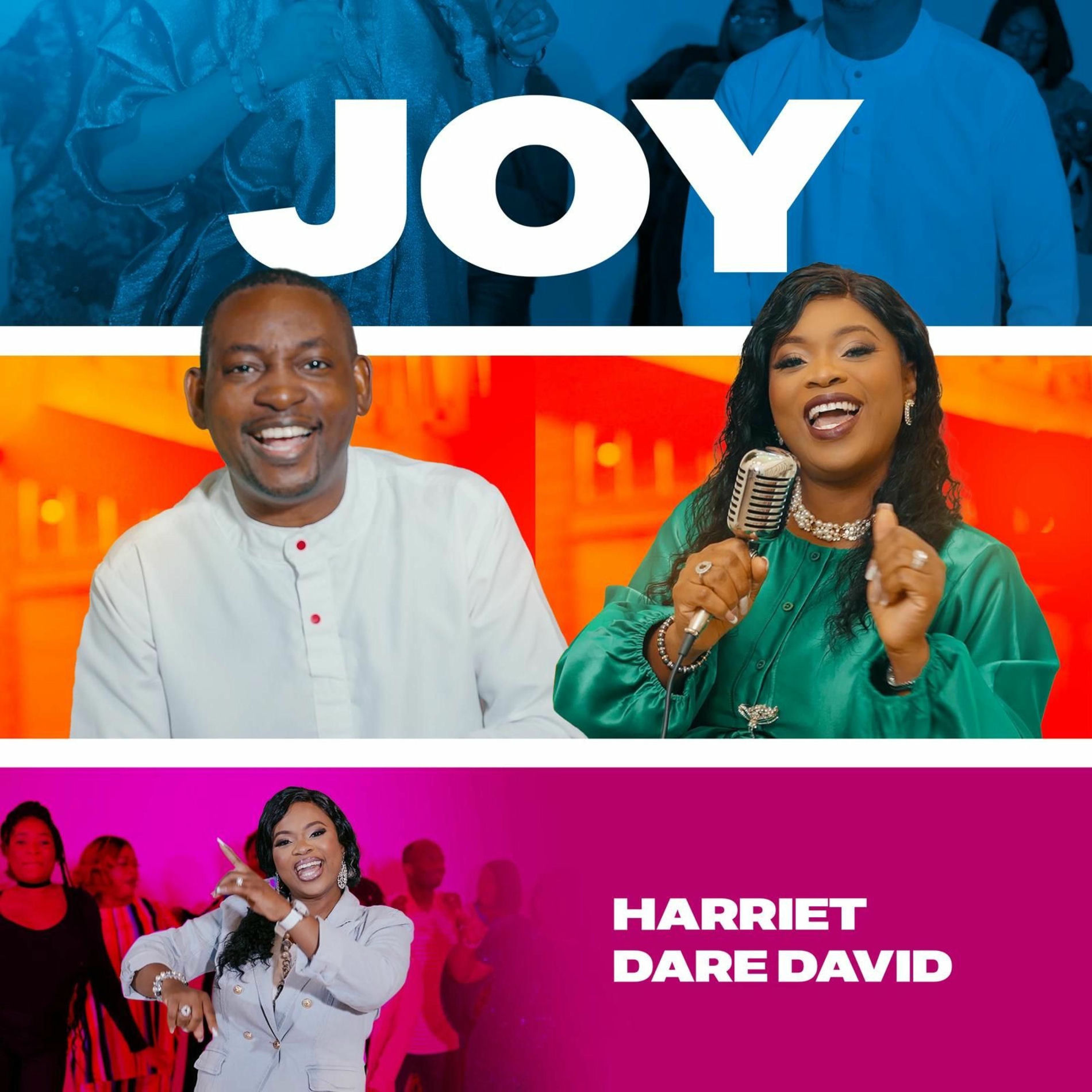 Album cover of JOY