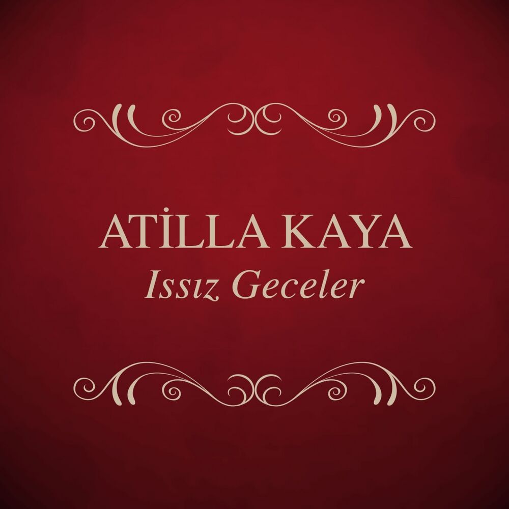 Picture of Issız Geceler