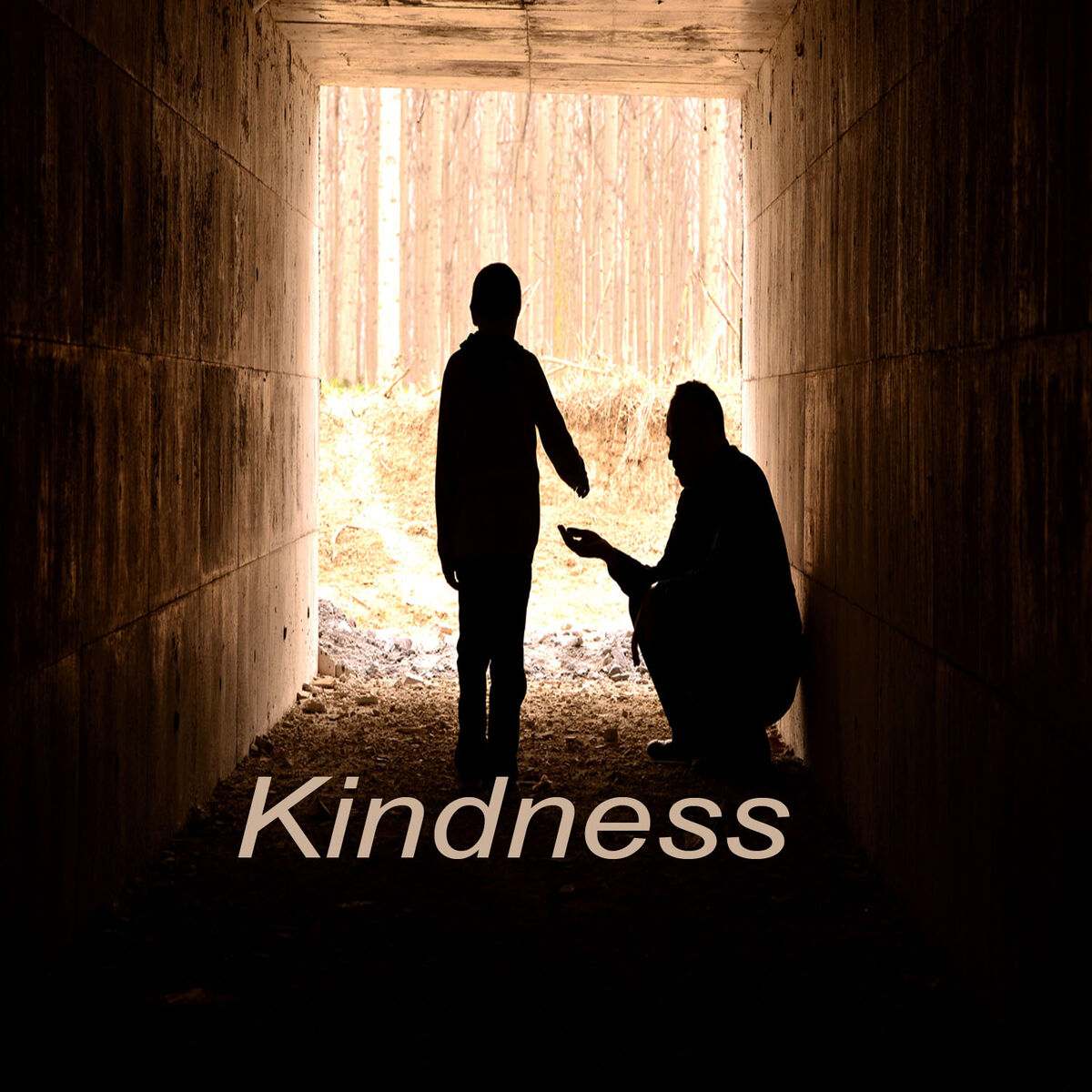 Album cover of Kindness