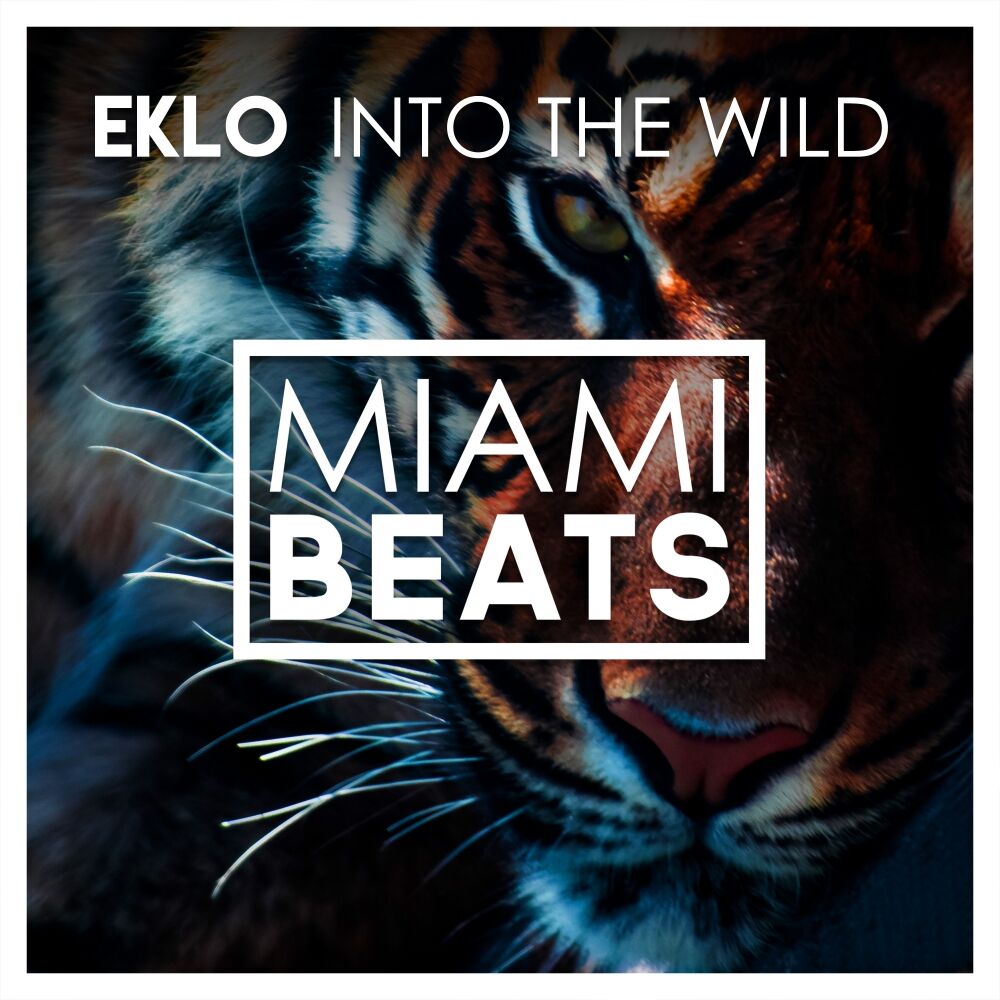 Picture of Into The Wild