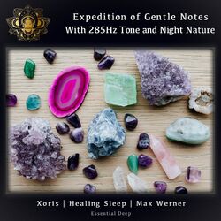 Expedition of Gentle Notes with 285Hz Tone and Night Nature