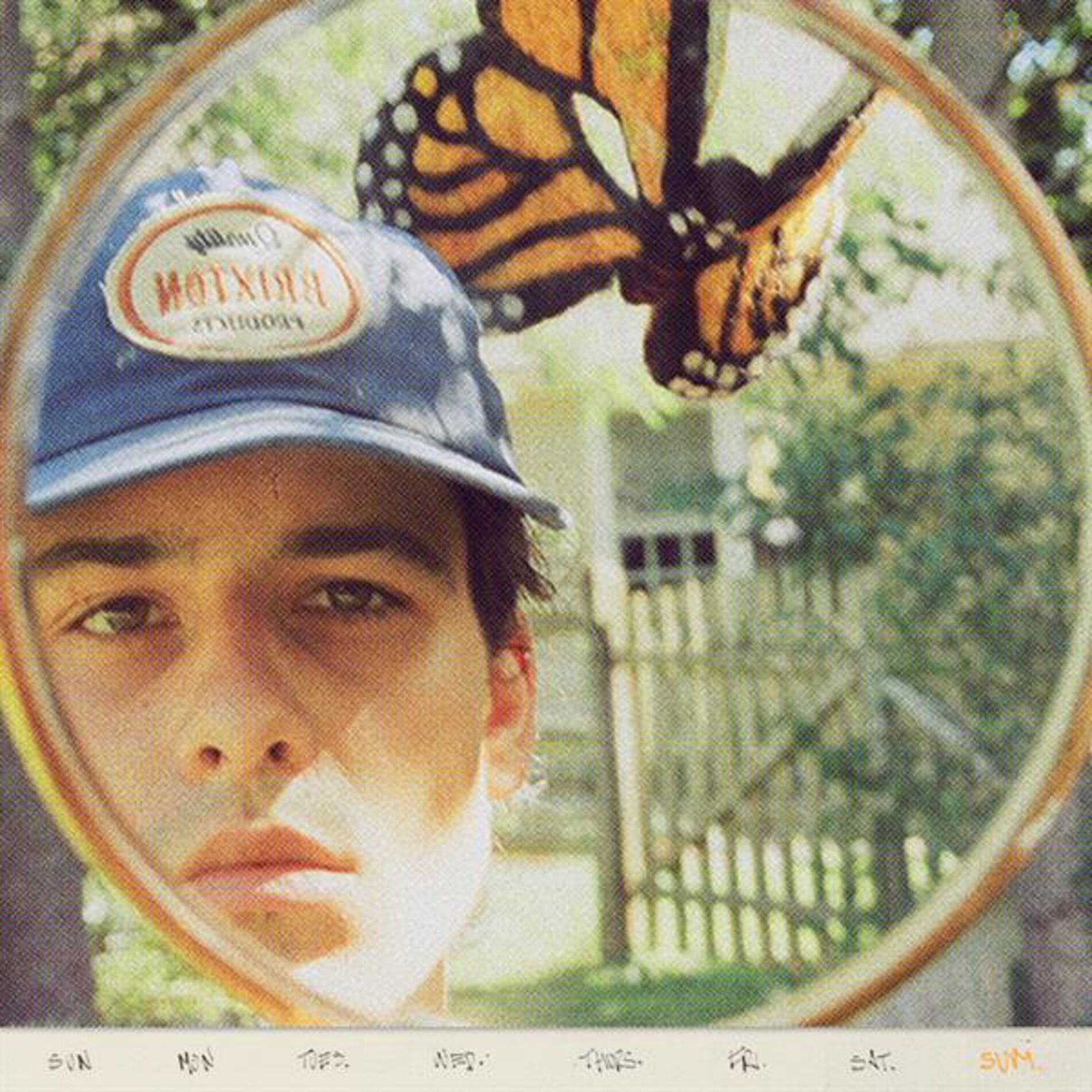 Album cover of SUMDAY
