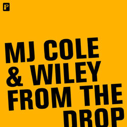 Cover of From The Drop