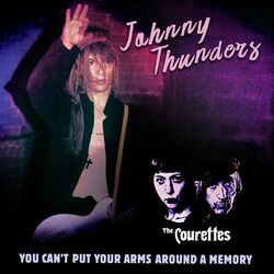 Cover of You Can't Put Your Arms Around a Memory