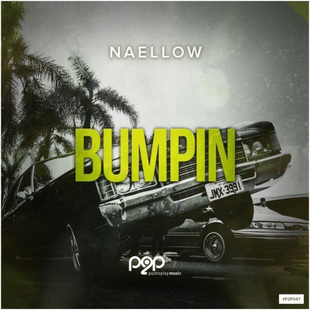 Picture of Bumpin