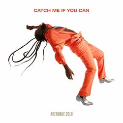 Cover of Catch Me If You Can