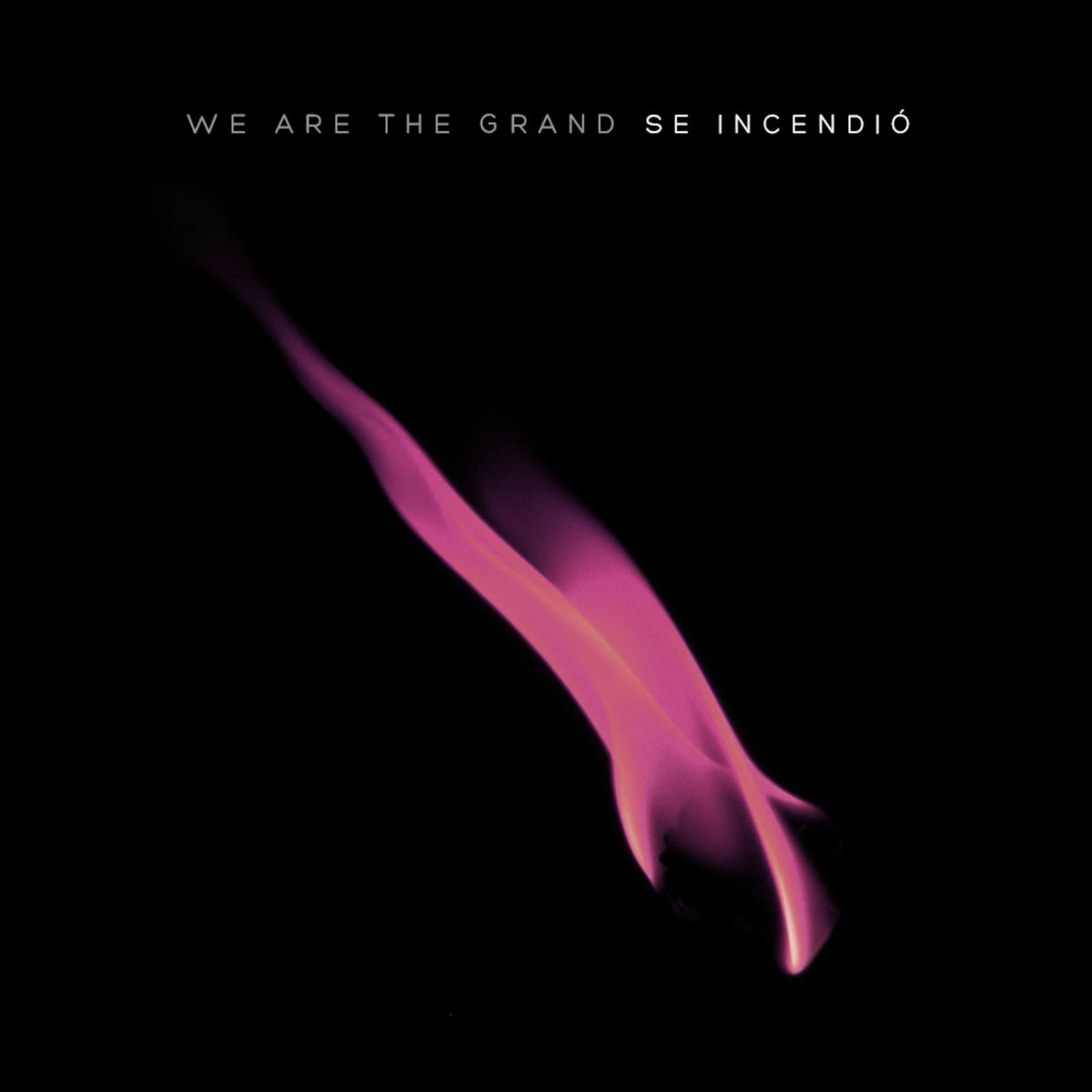 Album cover of Se Incendió