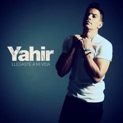 Cover of Llegaste A Mi Vida