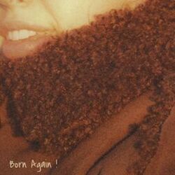 Cover of Born Again