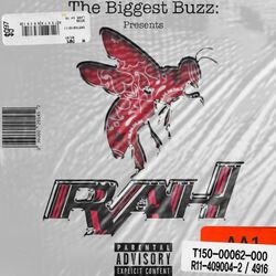 Cover of The Biggest Buzz