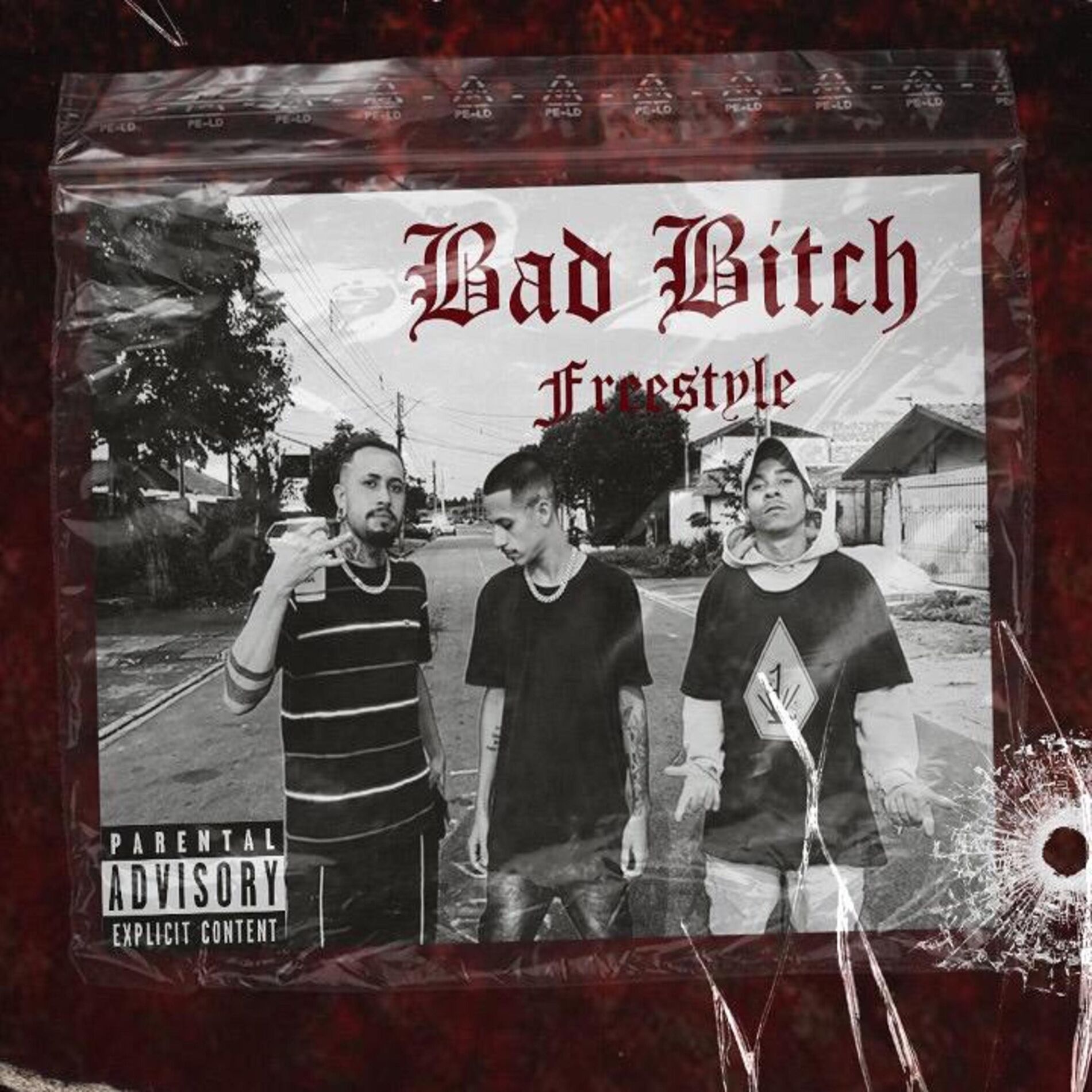 Album cover of Bad Bitch Freestyle
