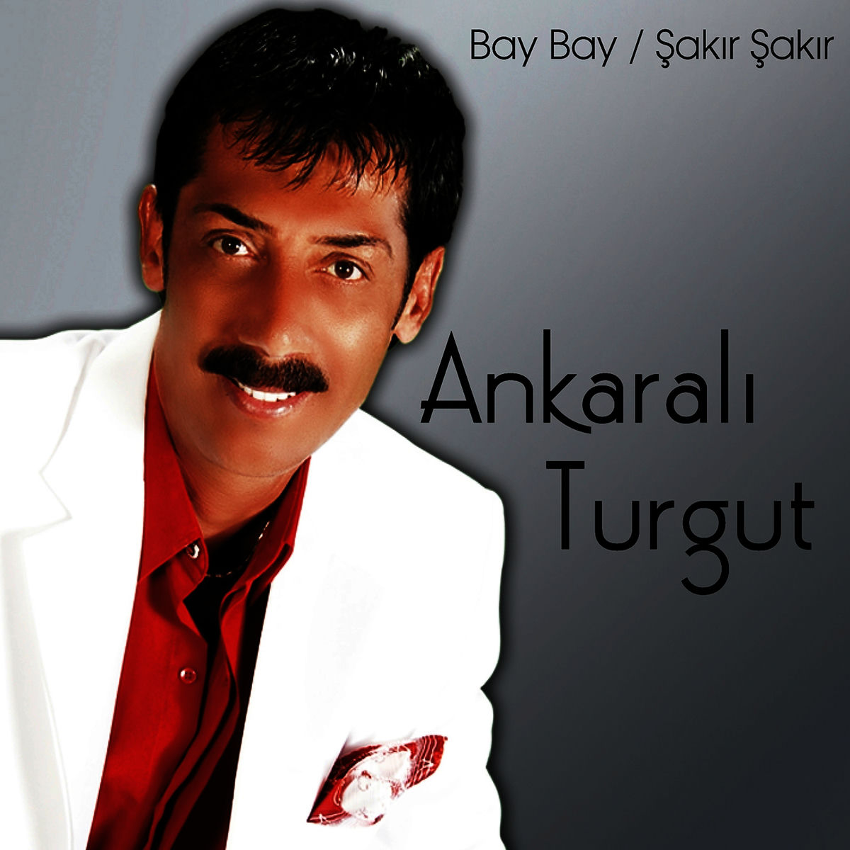 Album cover of Bay Bay / Şakır Şakır