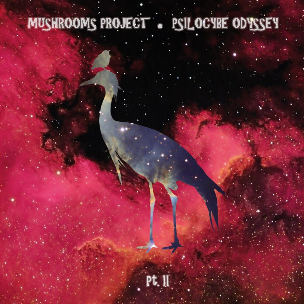 Picture of Psilocybe Odyssey (Pt. 2)