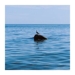 Cover of Study and Background Relaxation