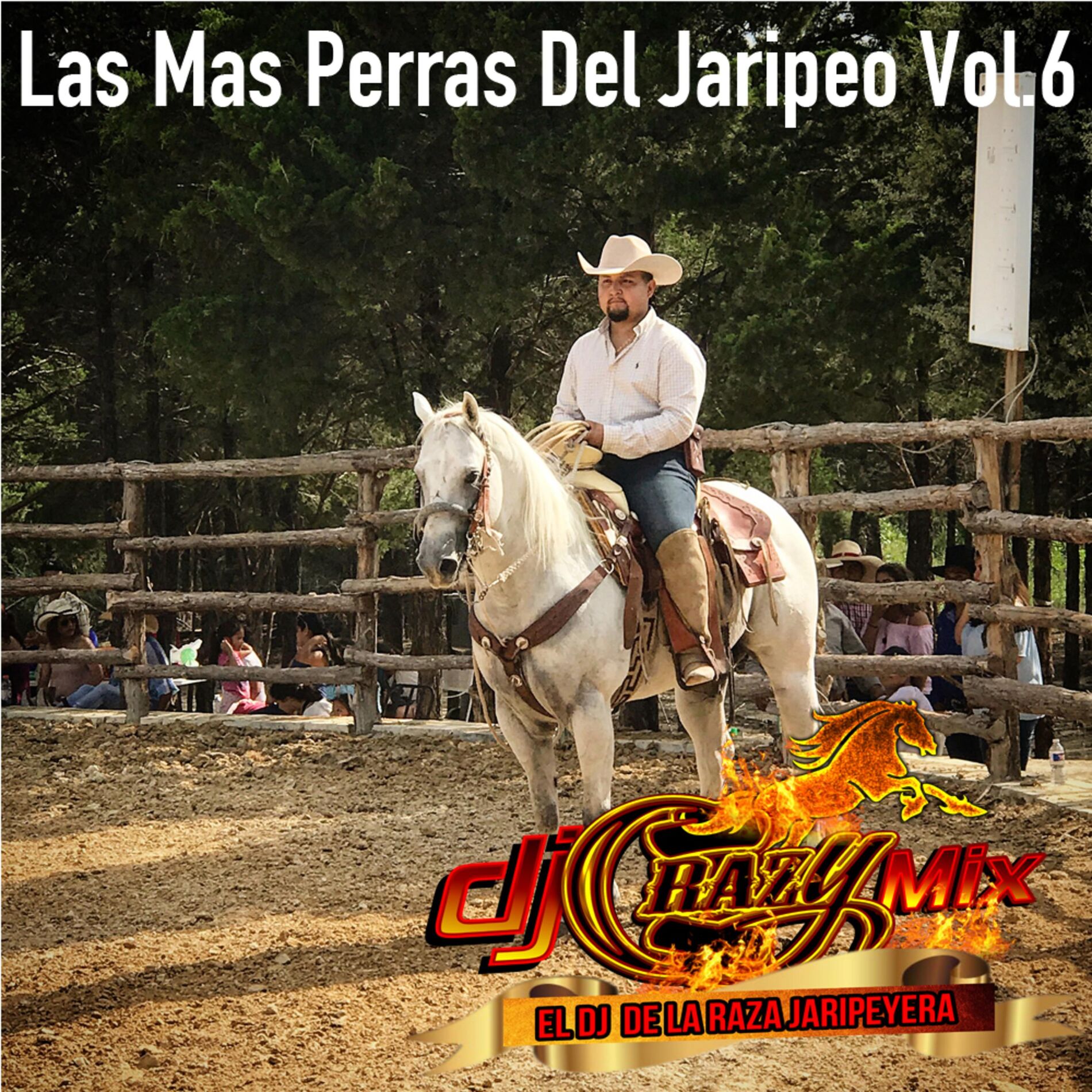 Album cover of Las Mas Perras Del Jaripeo, Vol. 6