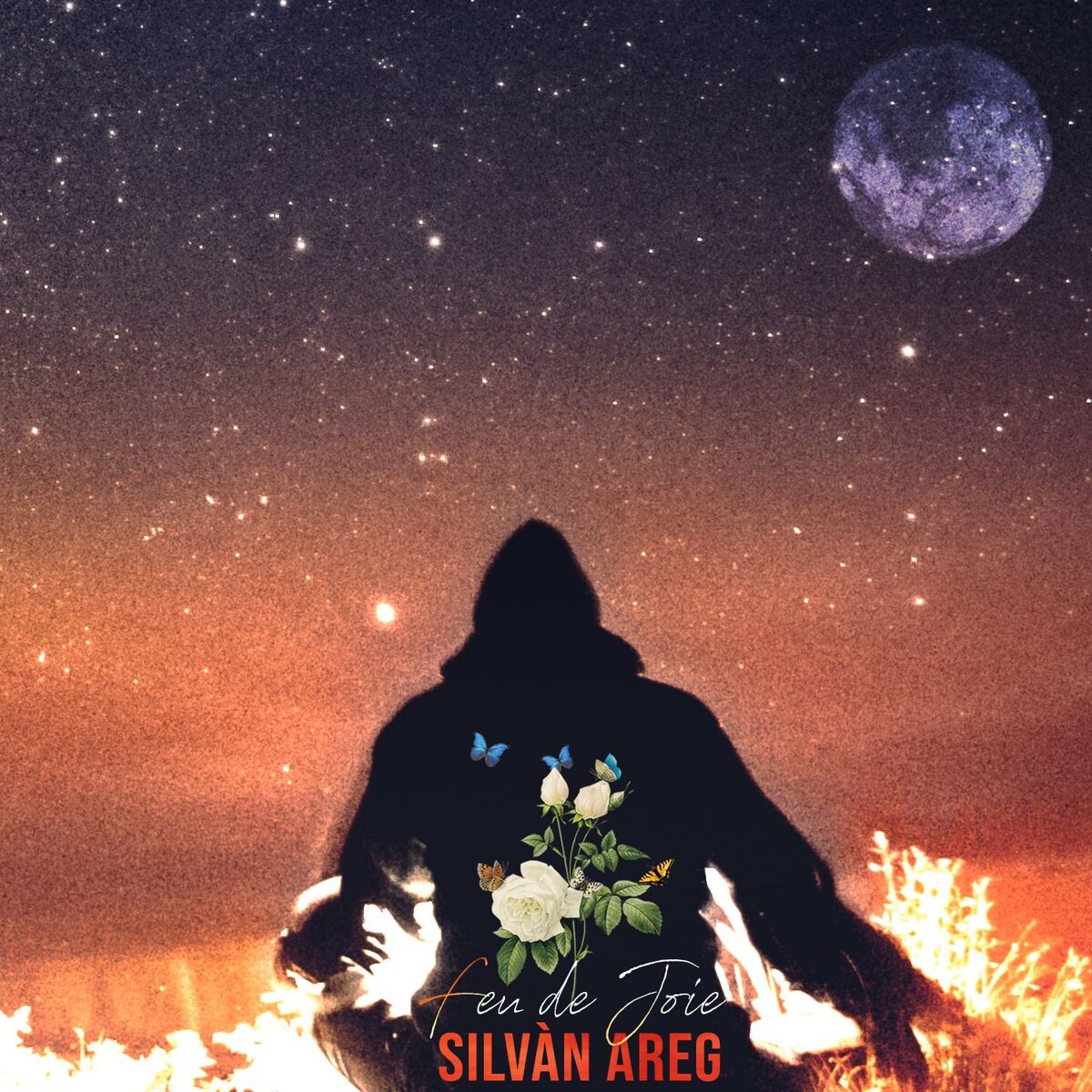 Album cover of Feu de joie