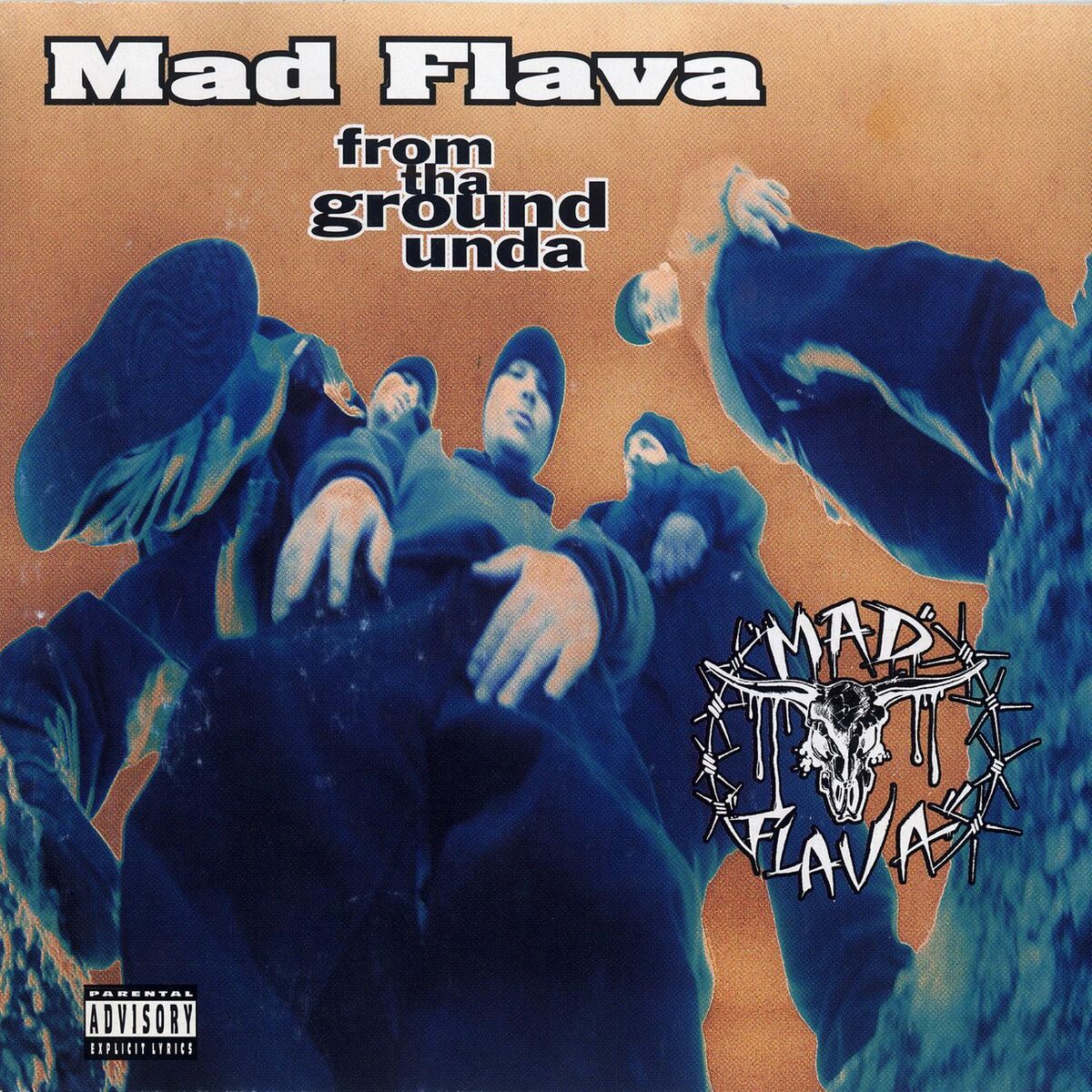 Album cover of Mad Intro