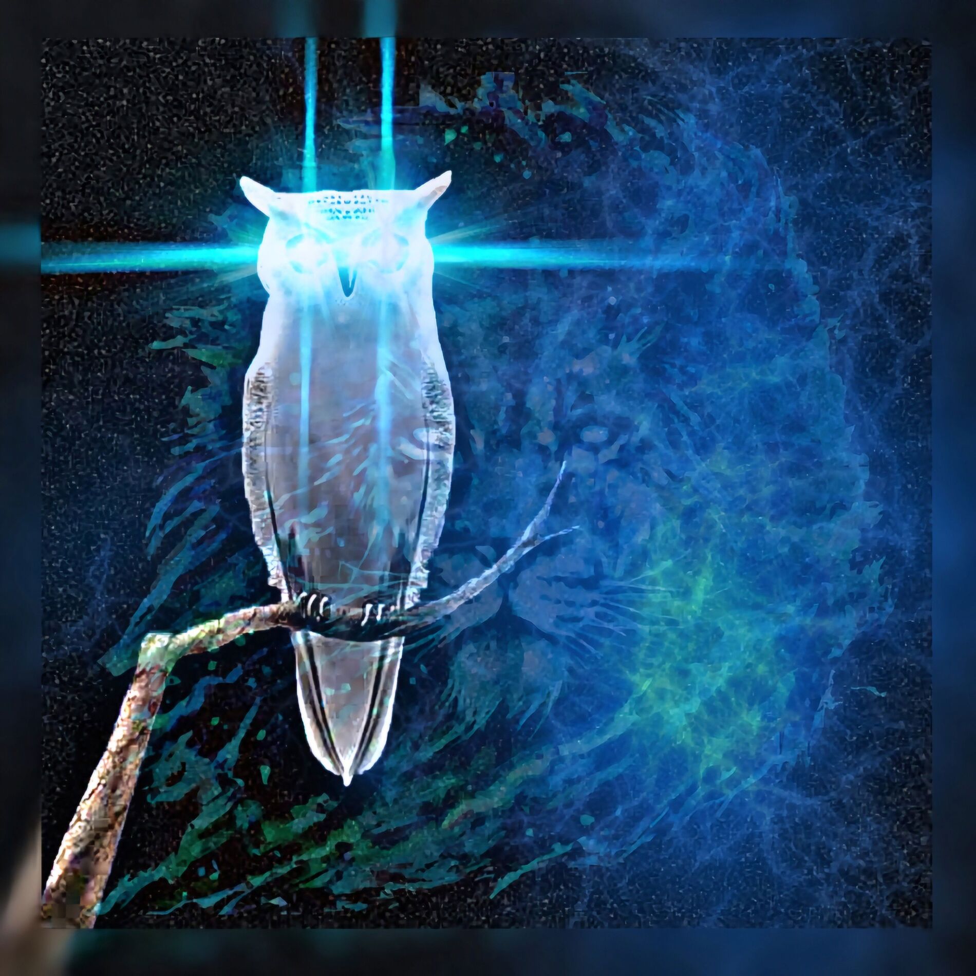 Album cover of Listen to my Heart