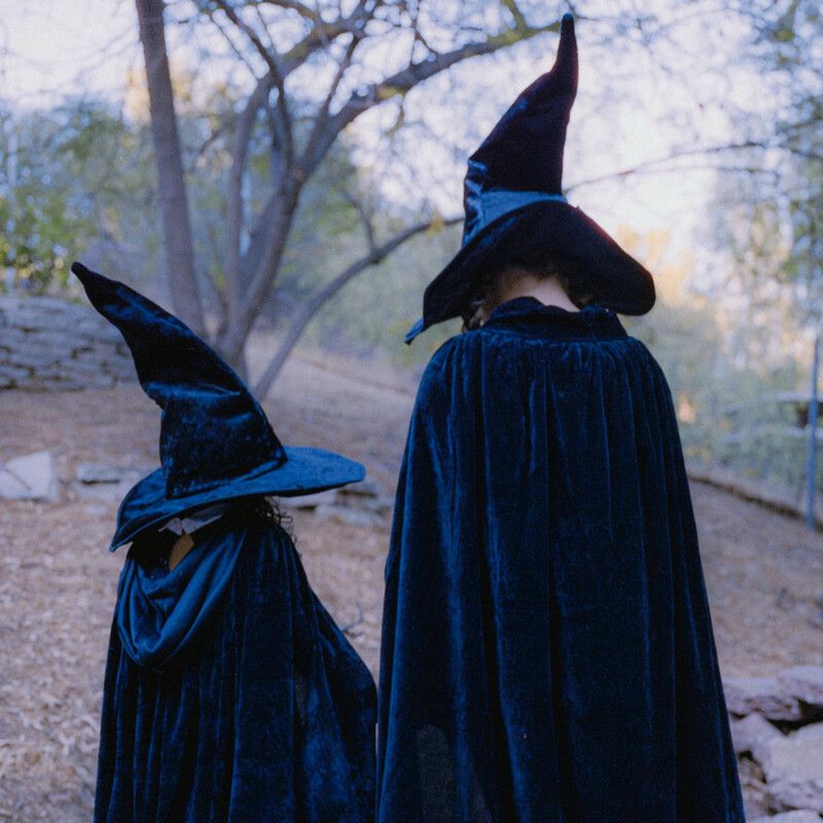 Album cover of Hocus Pocus