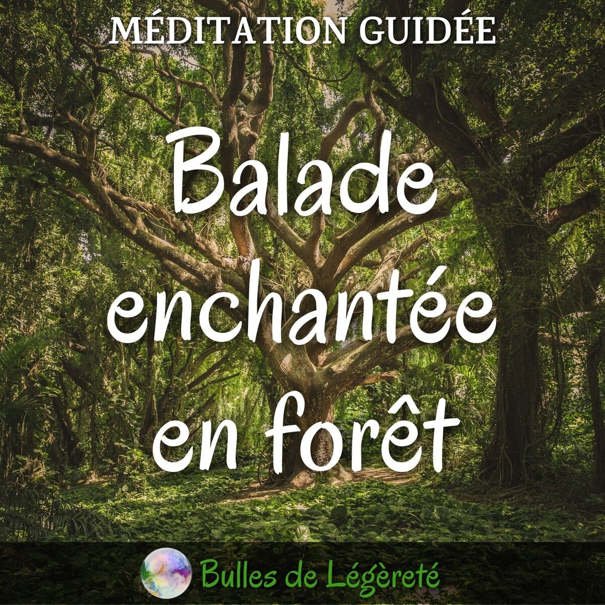 Album cover of Méditation guidée, Balade enchantée en forêt