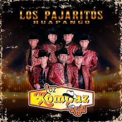 Cover of Los Pajaritos Huapango