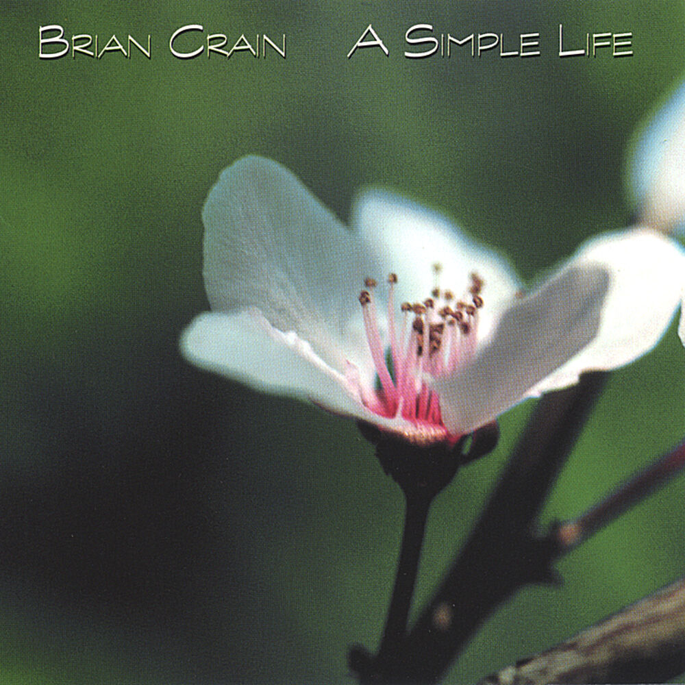 Picture of A Simple Life