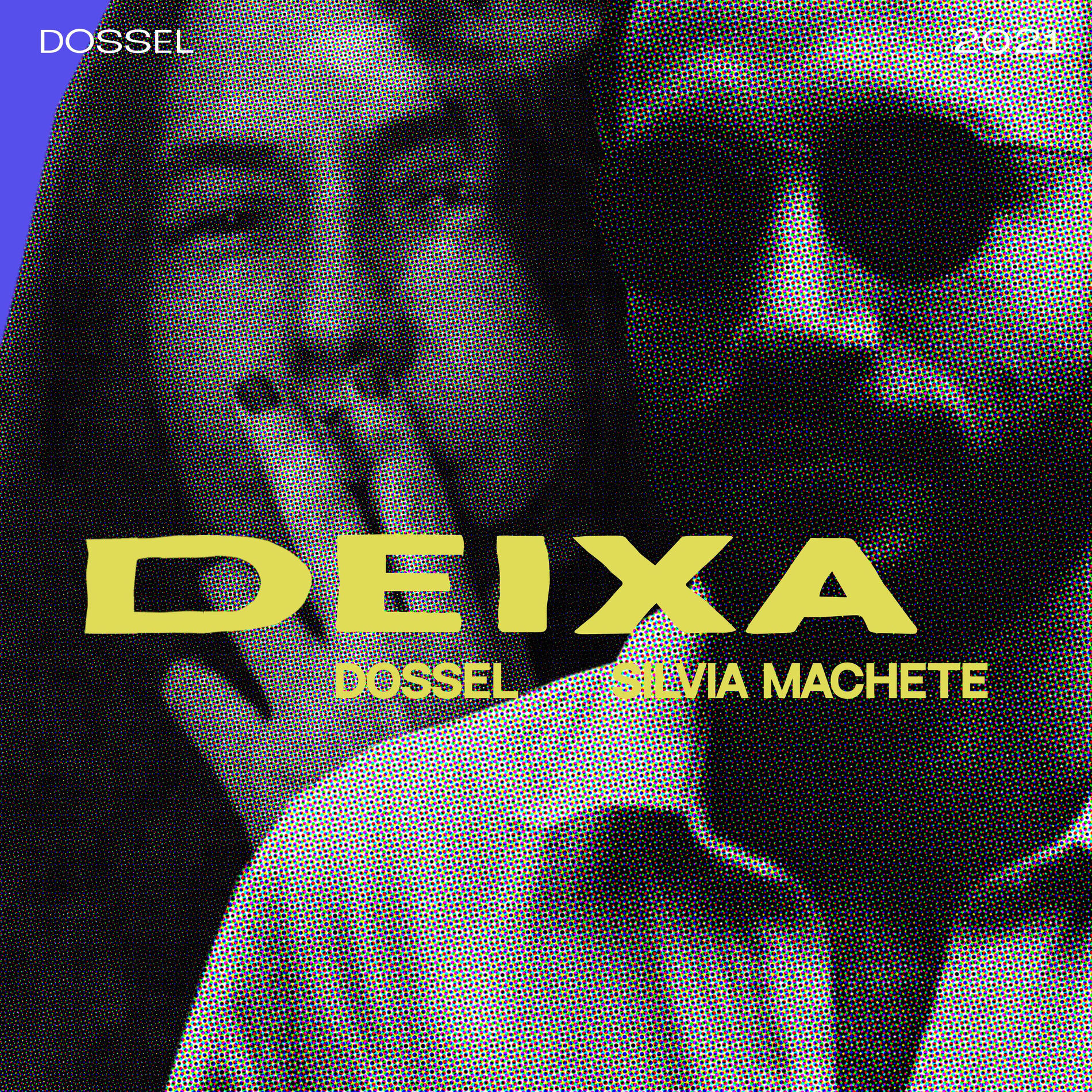 Album cover of Deixa
