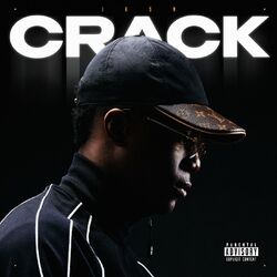 Cover of Crack
