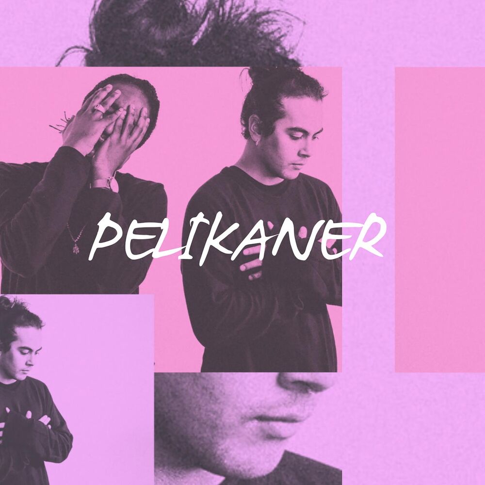 Picture of Pelikaner (with Arif Murakami) (med Arif)