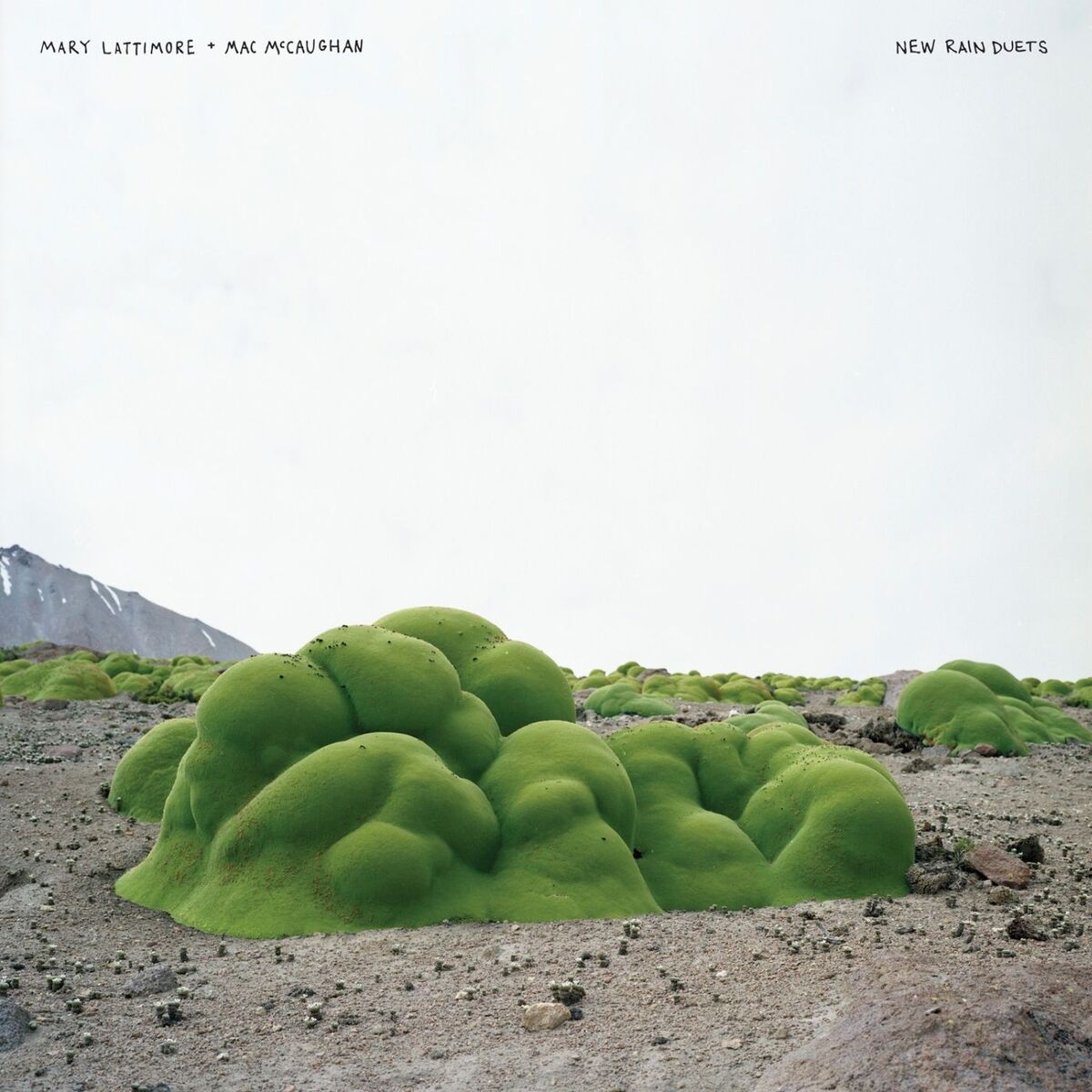 Album cover of New Rain Duets