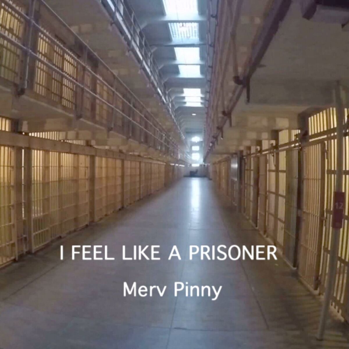 Album cover of I Feel Like a Prisoner